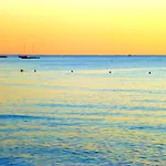 Comino Alto E * Siniscola