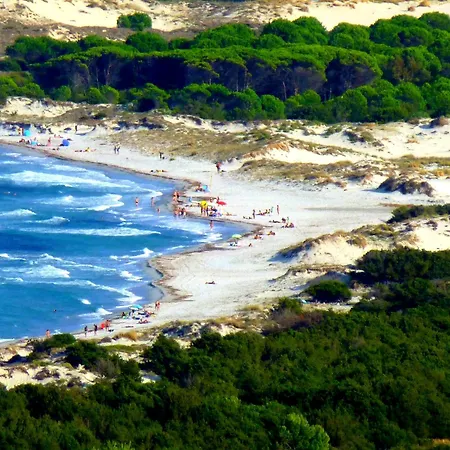 Comino Alto E * Siniscola