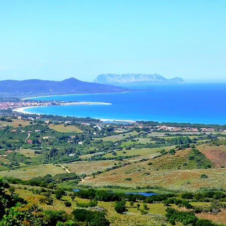 Comino Alto E