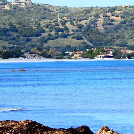 Comino Alto E * シニスコーラ