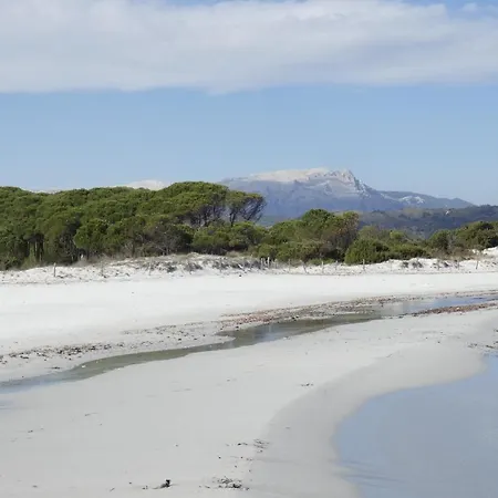 カントリーハウス Comino Alto E *