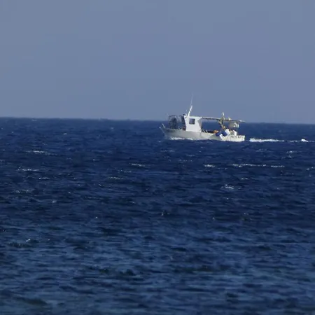 Comino Alto E * シニスコーラ