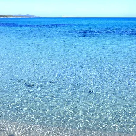 Comino Alto E * Siniscola