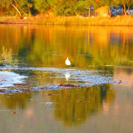 Comino Alto E カントリーハウス
