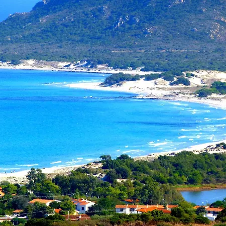 Comino Alto E シニスコーラ