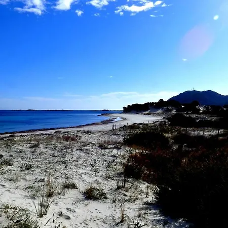 Comino Alto E Siniscola