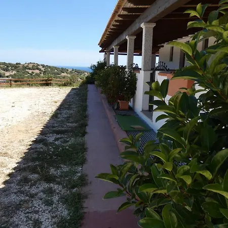Comino Alto E *