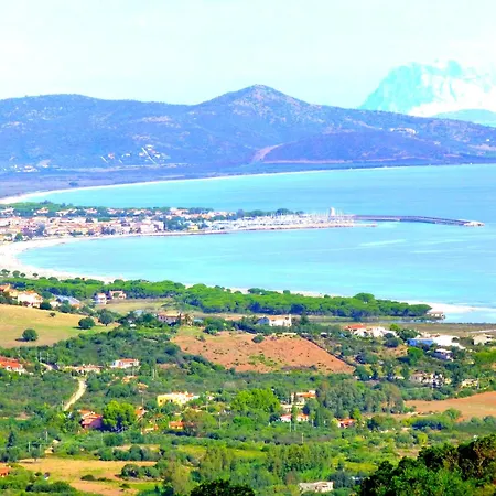 Comino Alto E * Siniscola