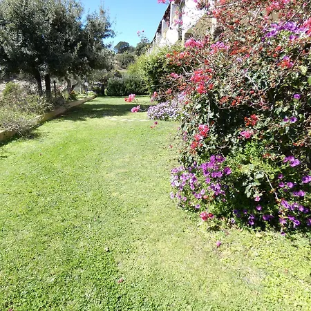 Comino Alto E