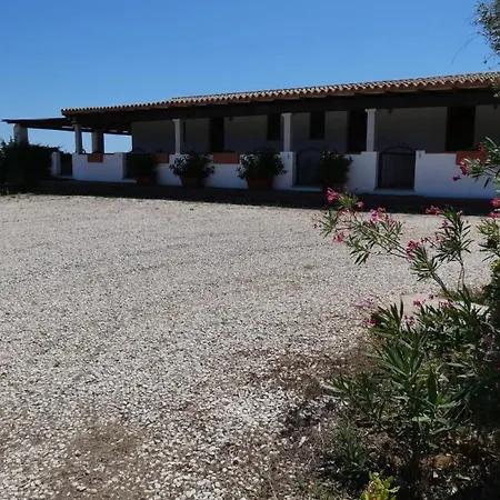 Comino Alto E * Siniscola