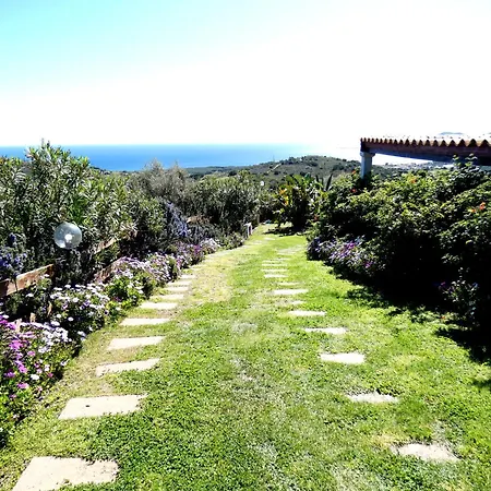 Comino Alto E * Siniscola