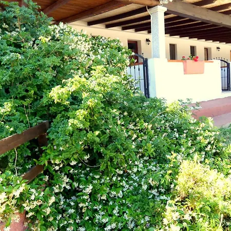Comino Alto E
