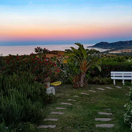 Comino Alto E * Siniscola